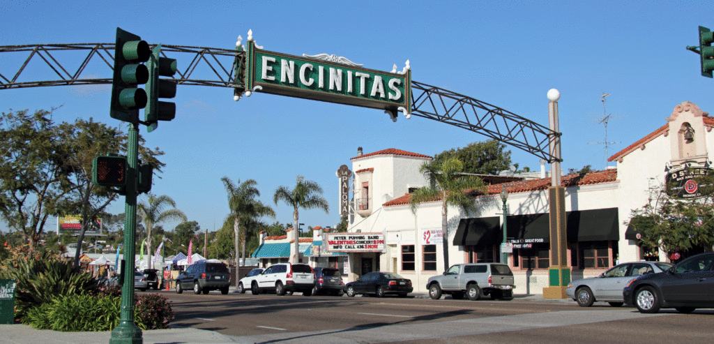 Encinitas,CA to San Diego Airport Transportation picture